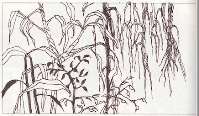 Screen Shot 2018-07-19 at 7.17.02 AM