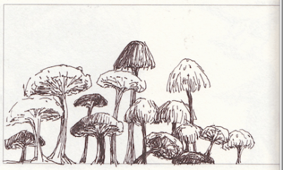 Screen Shot 2018-07-19 at 7.17.17 AM